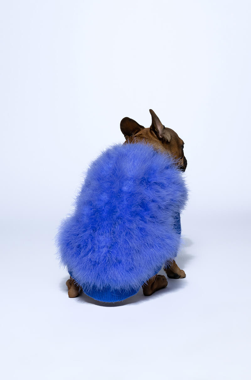 QUINN FEATHER DOGGY SWEATER
